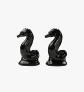 Vintage Black Sea Horse Salt & Pepper Shakers