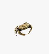 Solid Brass Crab Small Paperweight (1 of 2)