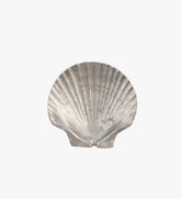 Set of 5 Shell Aluminum Plates
