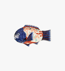 Late 19th to Early 20th Century Porcelain Japanese Imari Fish Platter