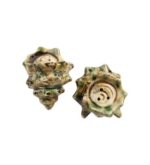 Item #105 Vintage Florida Conch Shell Salt & Pepper Shakers