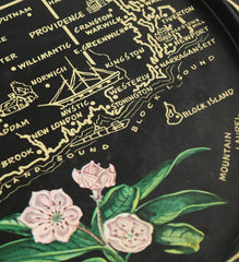 Vintage Rhode Island Plate