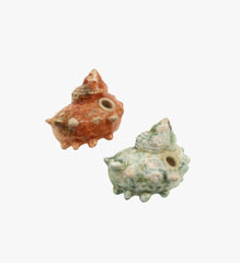 Sea Shell Salt & Pepper Shakers
