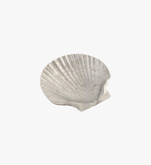Set of 5 Shell Aluminum Plates