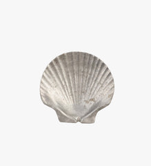 Set of 5 Shell Aluminum Plates